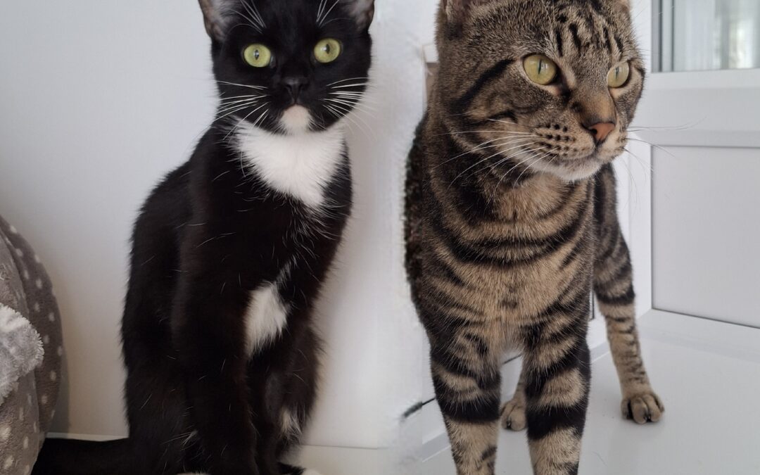 Maz and Beto