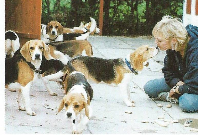 1998 Lesley Beagles