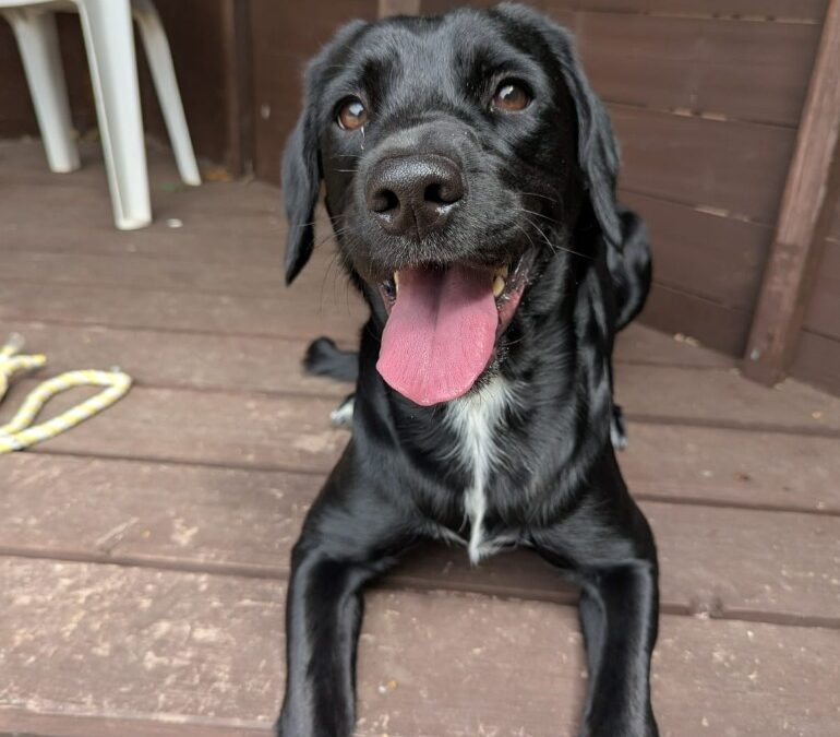 Bella