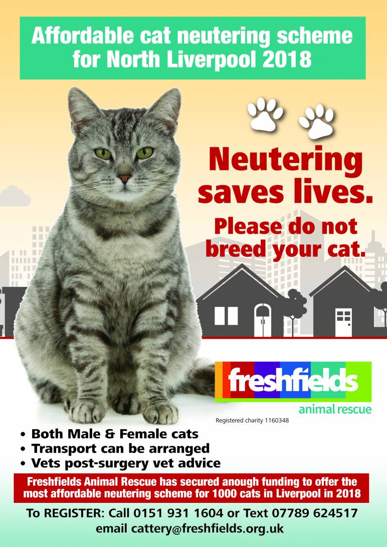 Low Cost Cat Neutering Freshfields Animal Rescue
