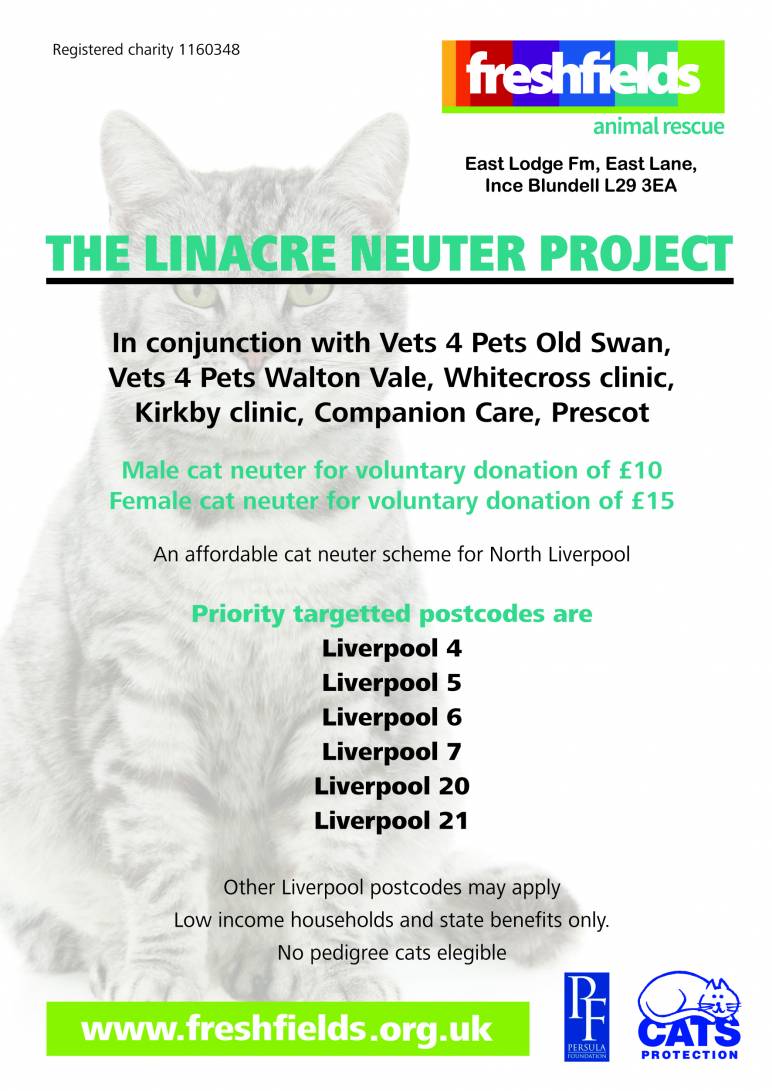 Low Cost Cat Neutering Freshfields Animal Rescue