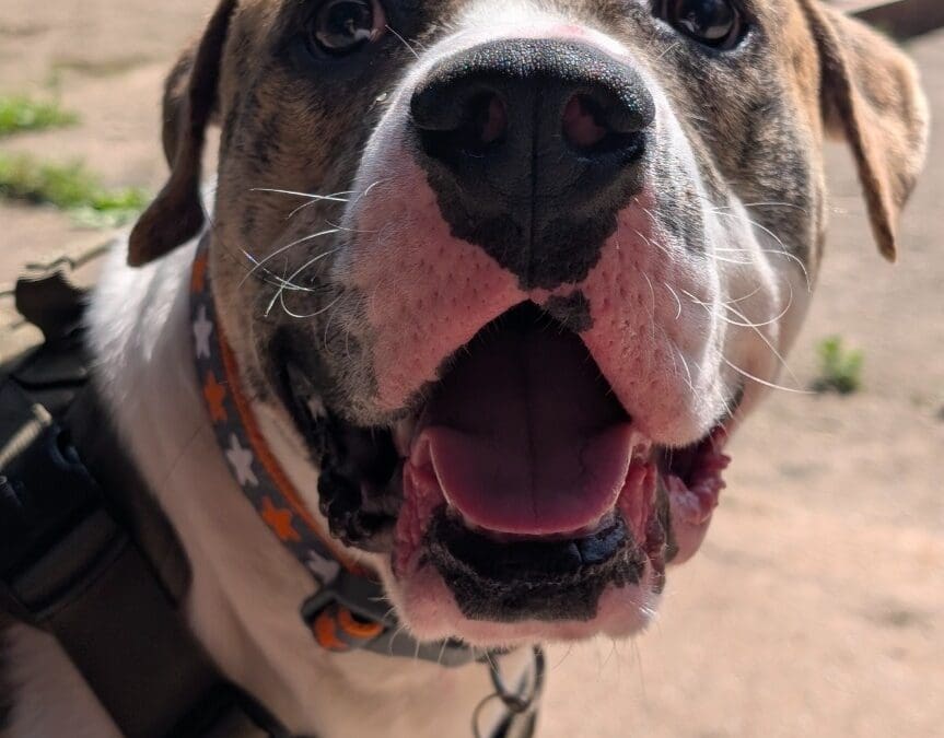 Charlie