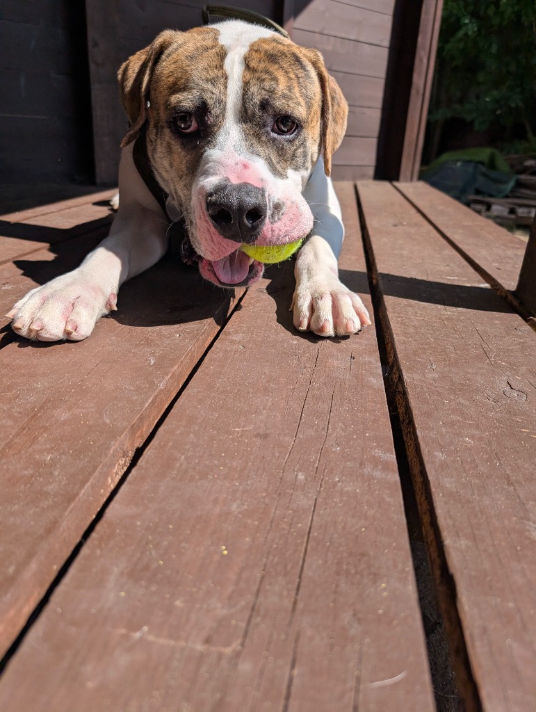 Charlie2