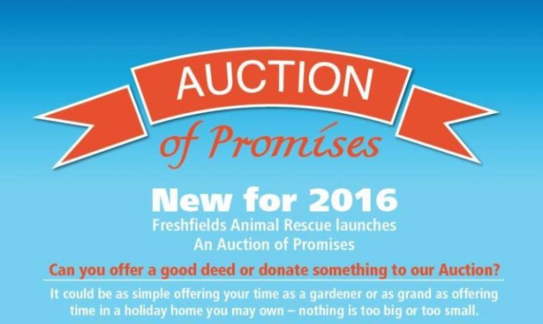 Auction of Promises for Freshfields