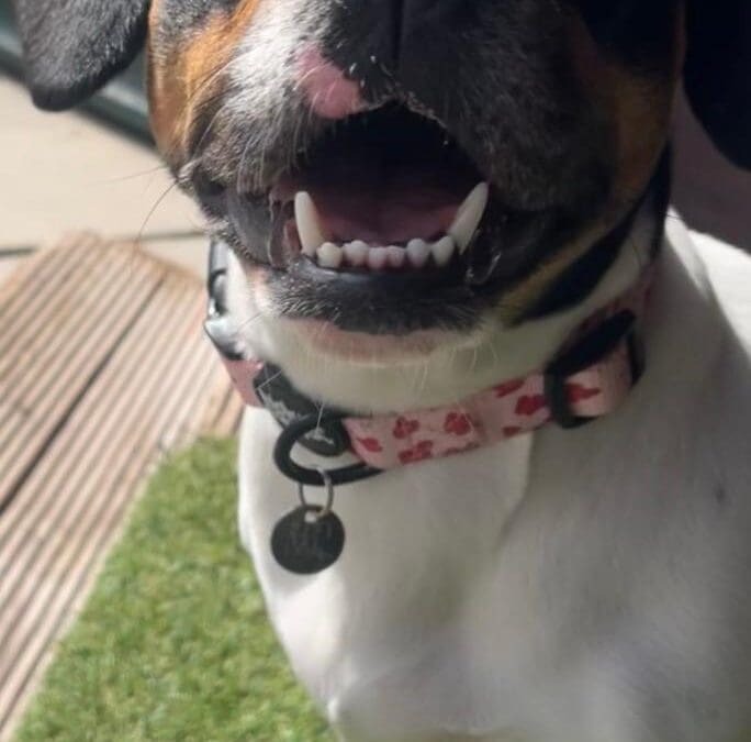 Tilly