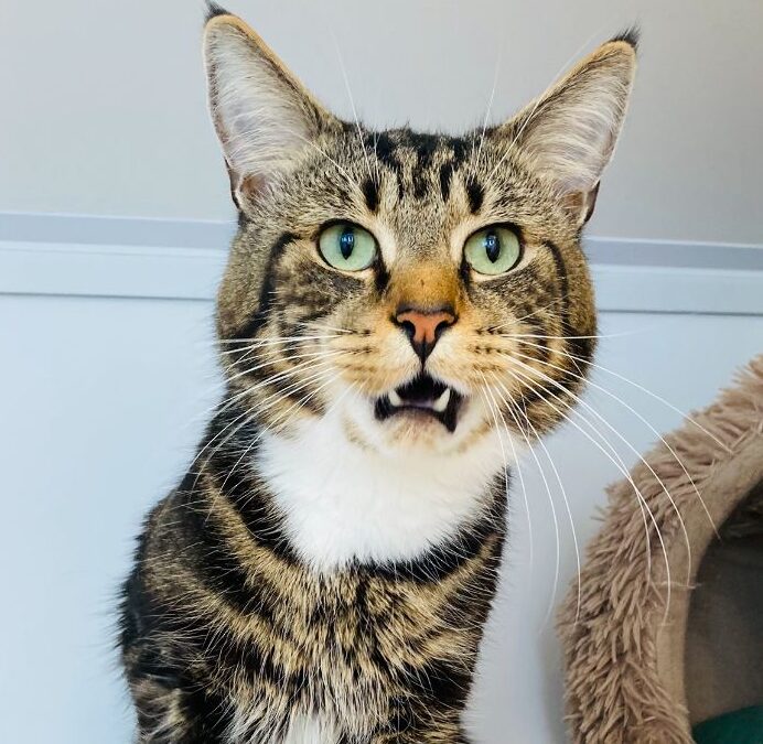 Pablo