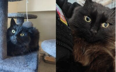 Arty and Kaya