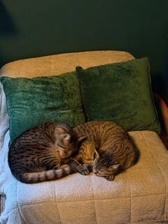IMG_0208