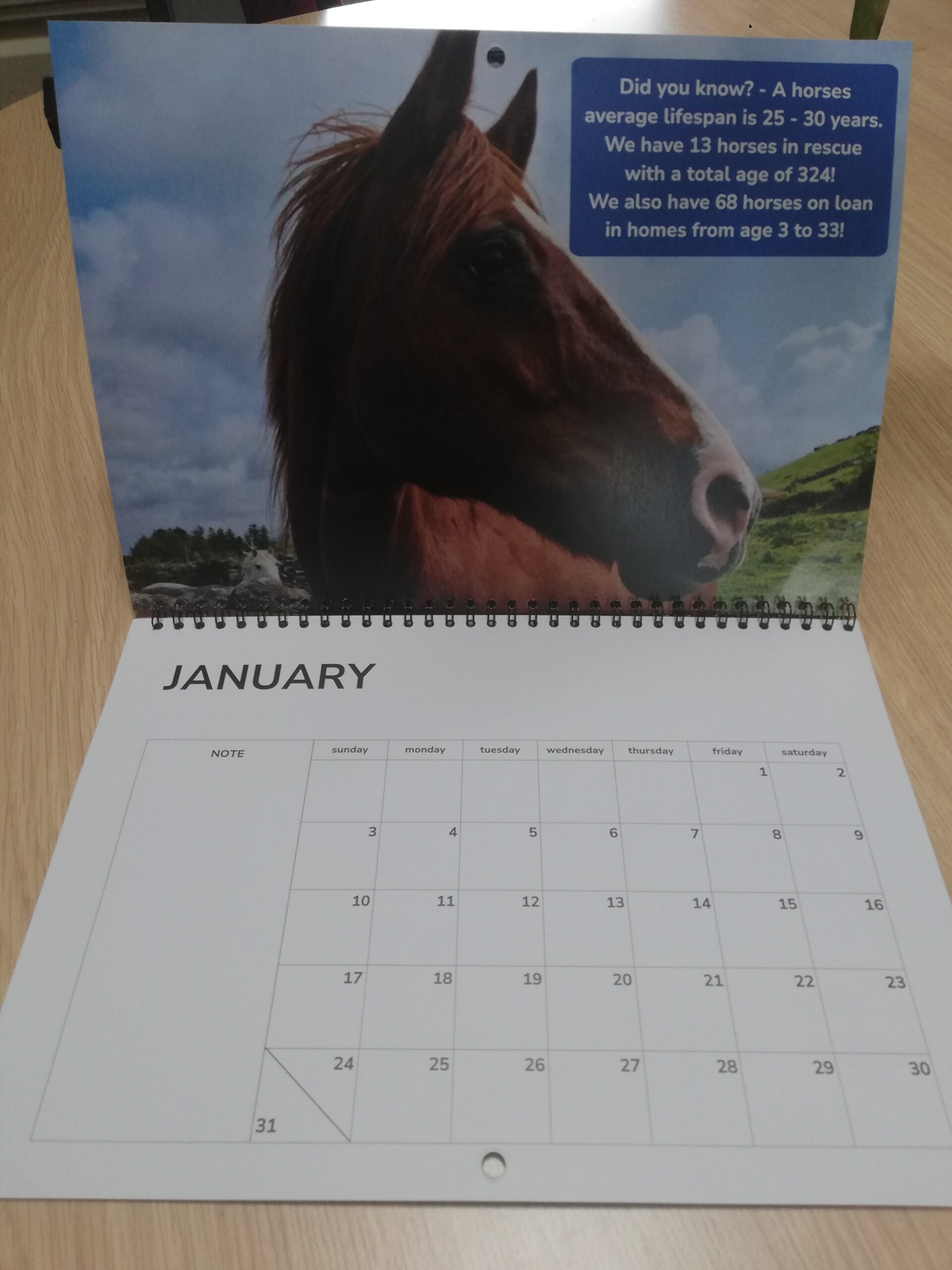 Freshfields Calendar 2027 - Image 2
