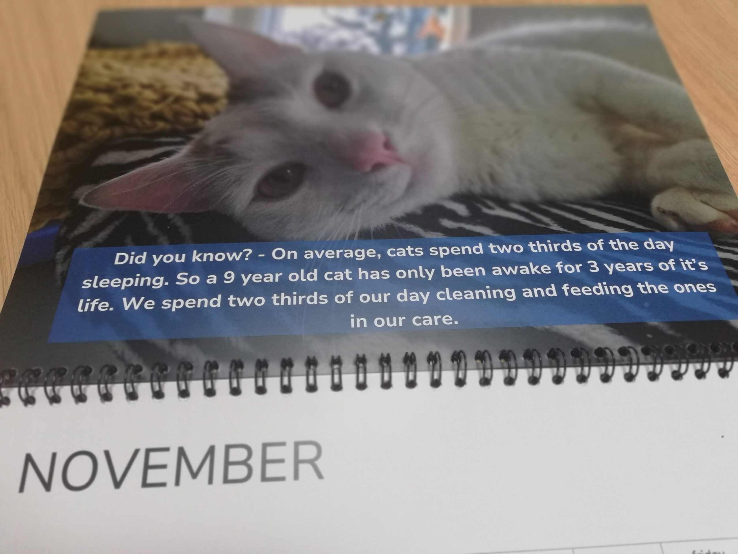 Freshfields Calendar 2027 - Image 3