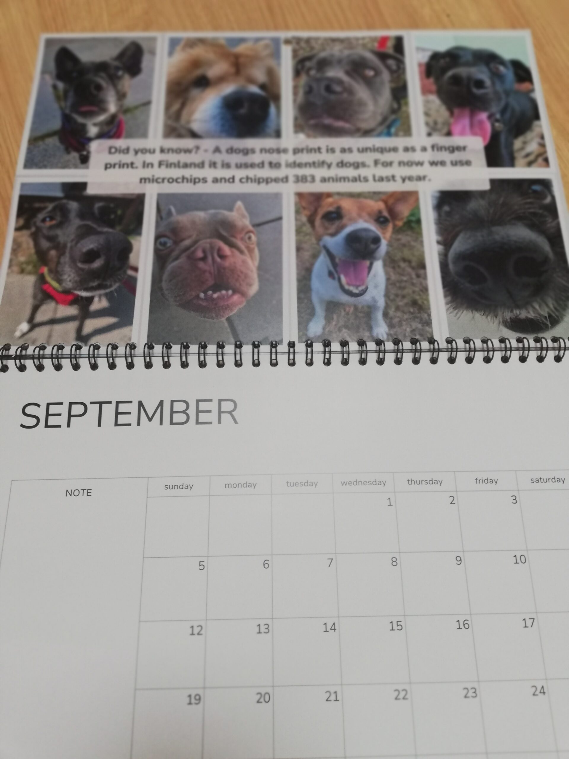 Freshfields Calendar 2027 - Image 4