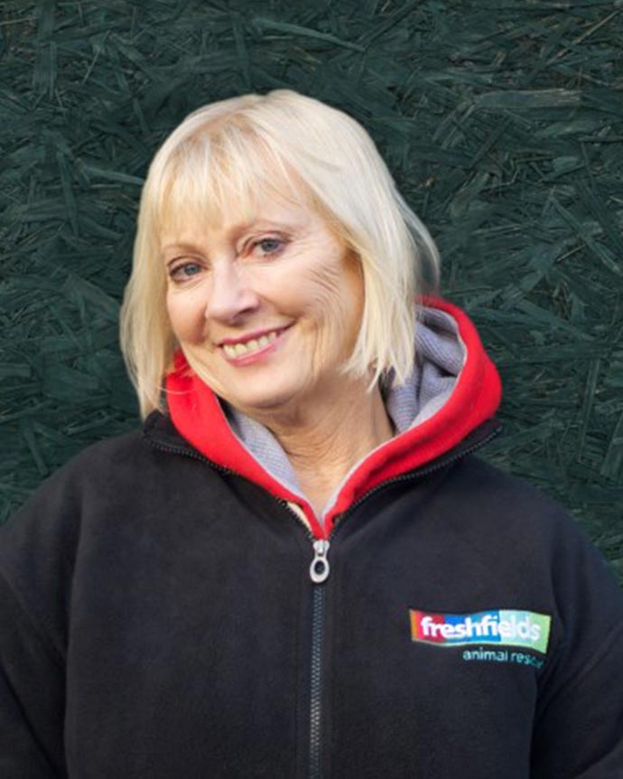 Lesley Tarleton