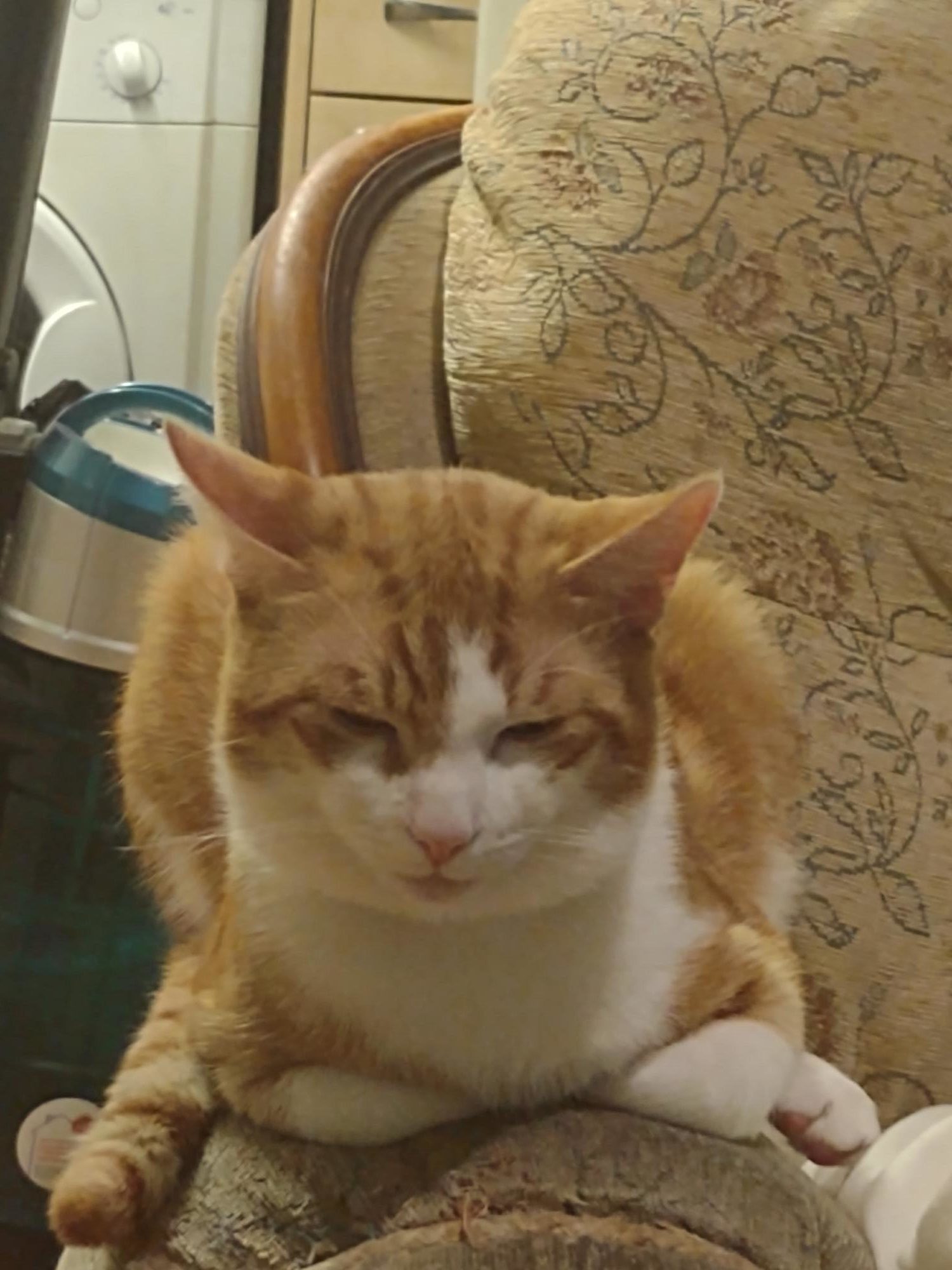 Monty