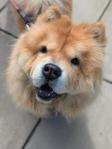 Nala1