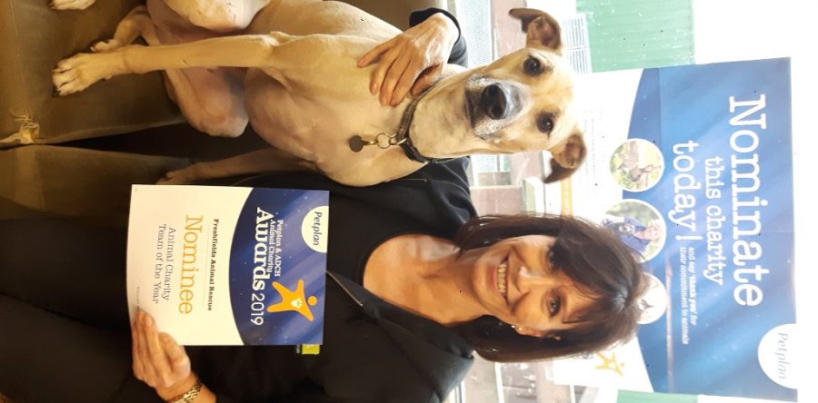 Vote for Freshfields in Pet Plan Awards 2019!