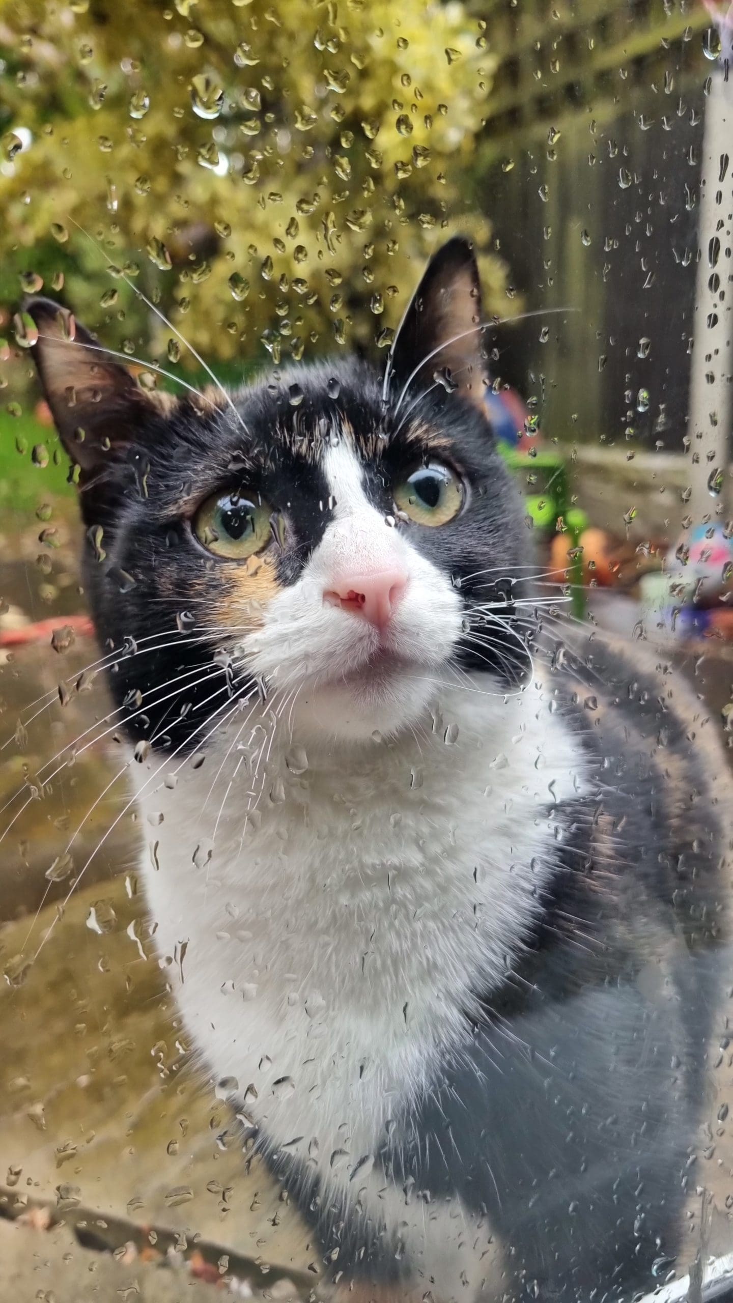 WINNIE