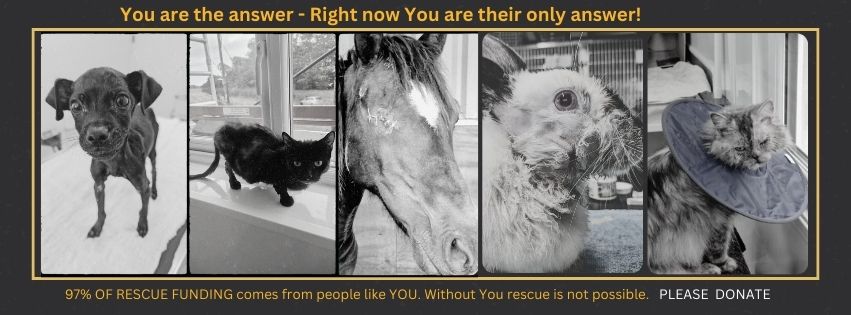 You are the answer FACEBOOK COVER