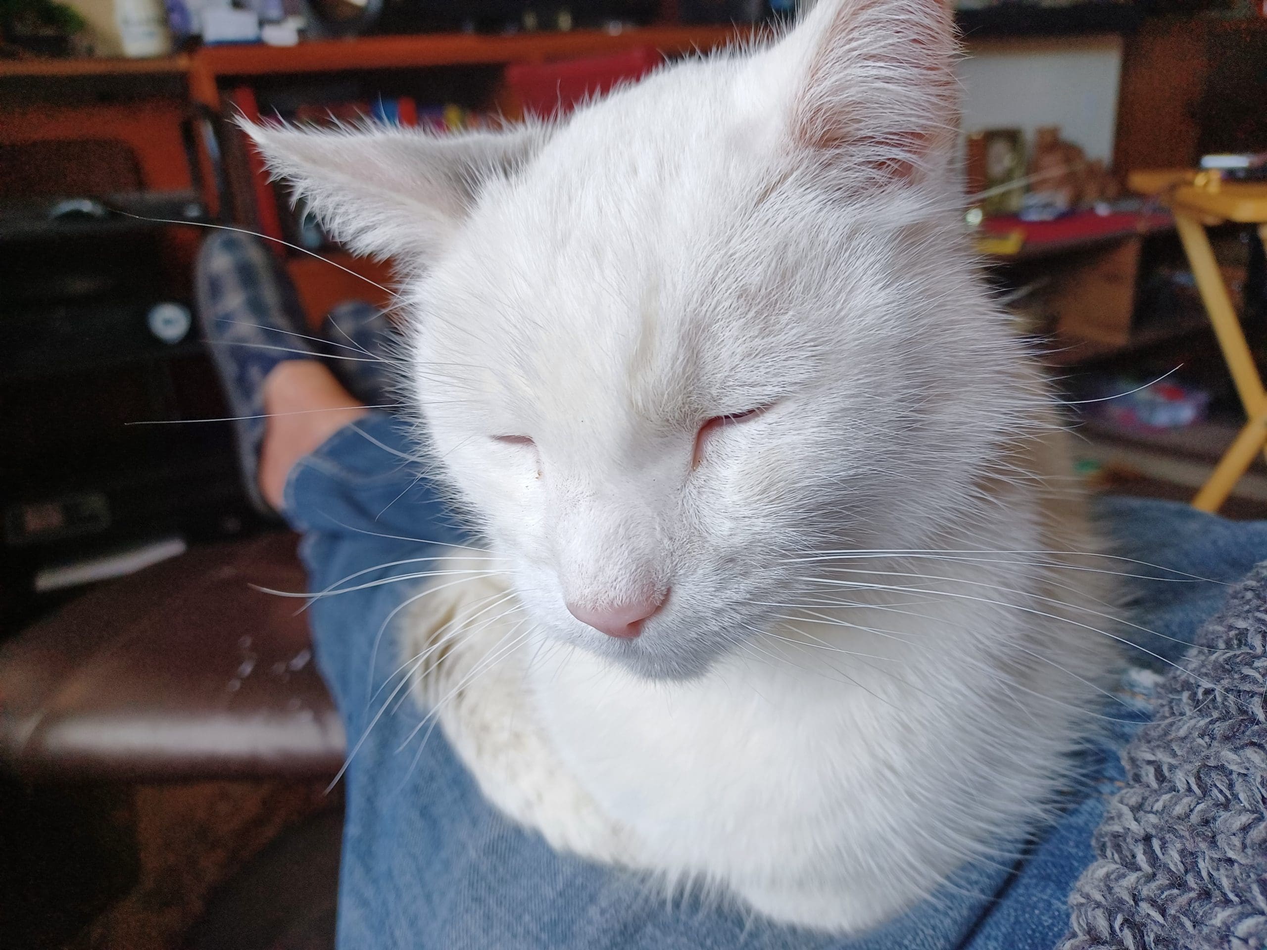 Zen