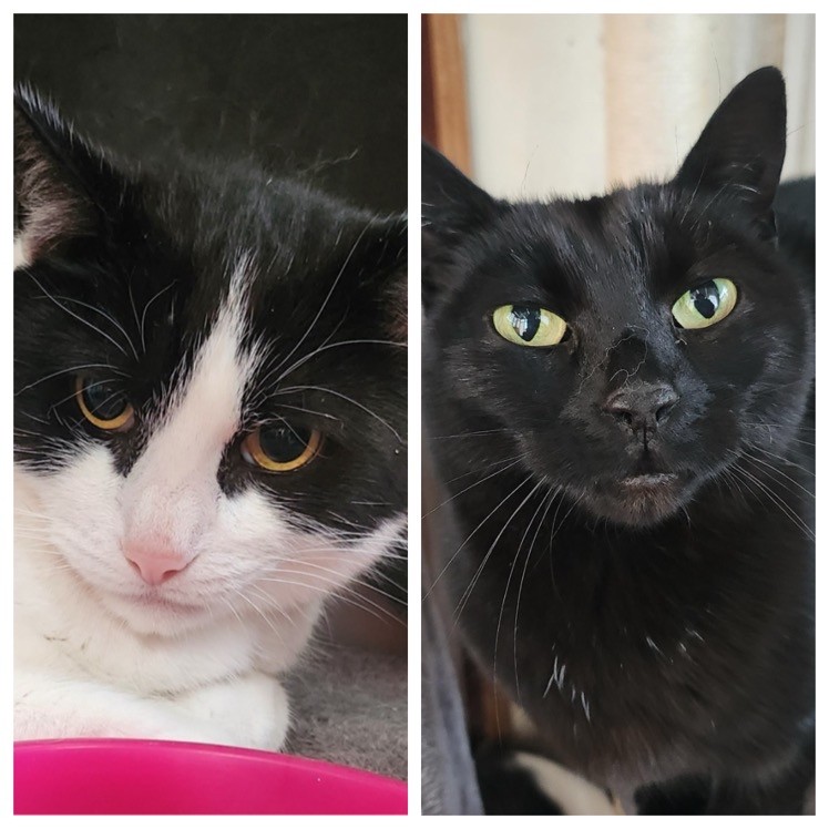 bertie and tilly togther for web