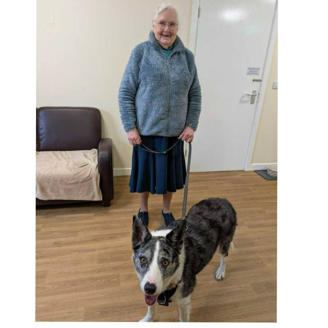 Freshfields Animal Rescue