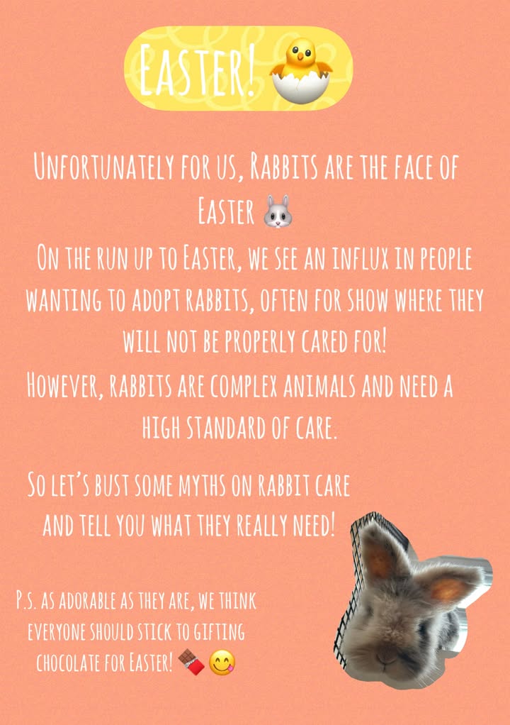 Freshfields Animal Rescue