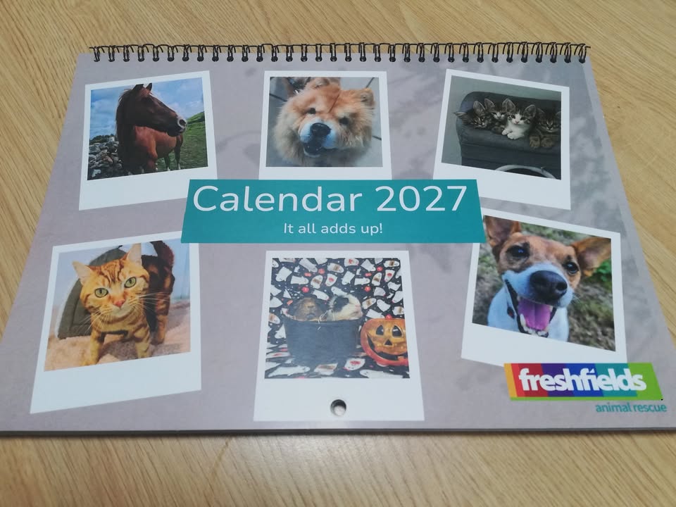Freshfields Animal Rescue