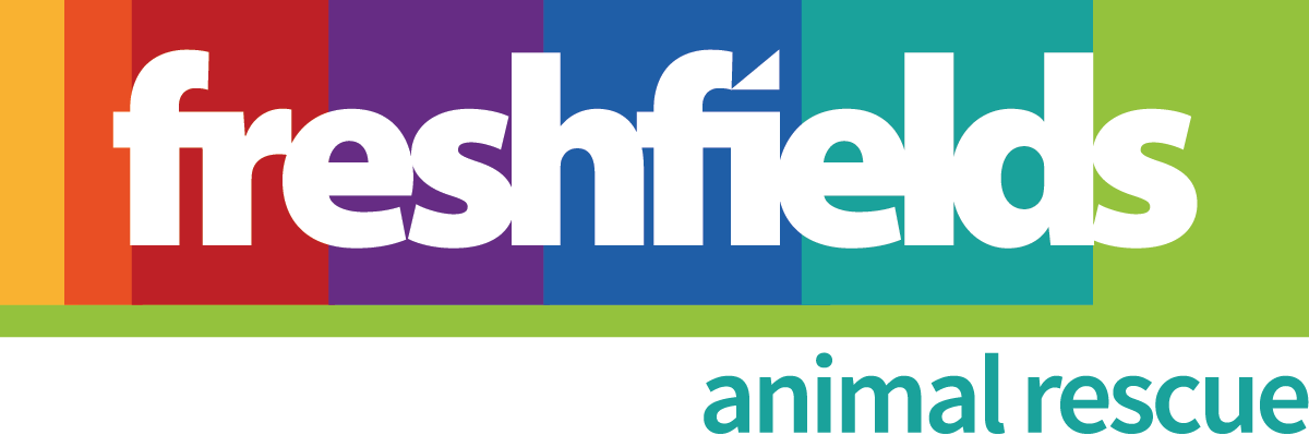 freshfields_logo_colour