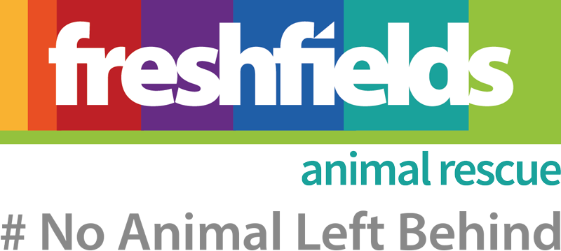 Freshfields Animal Rescue