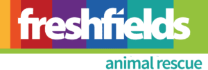 freshfields_logo_timeline