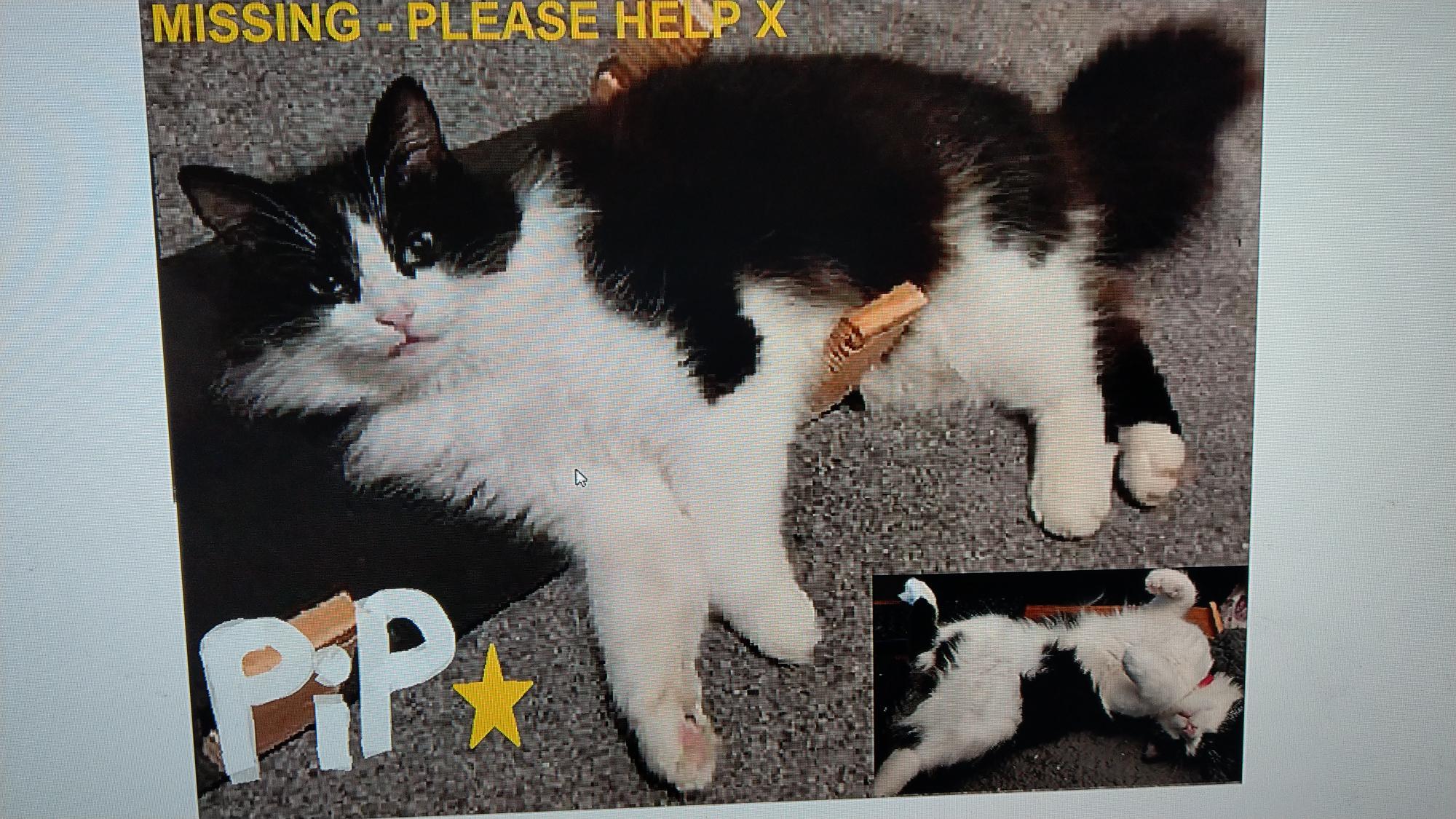 pip